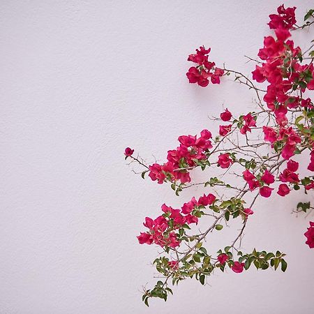 Spetses Retreat Accommodation المظهر الخارجي الصورة