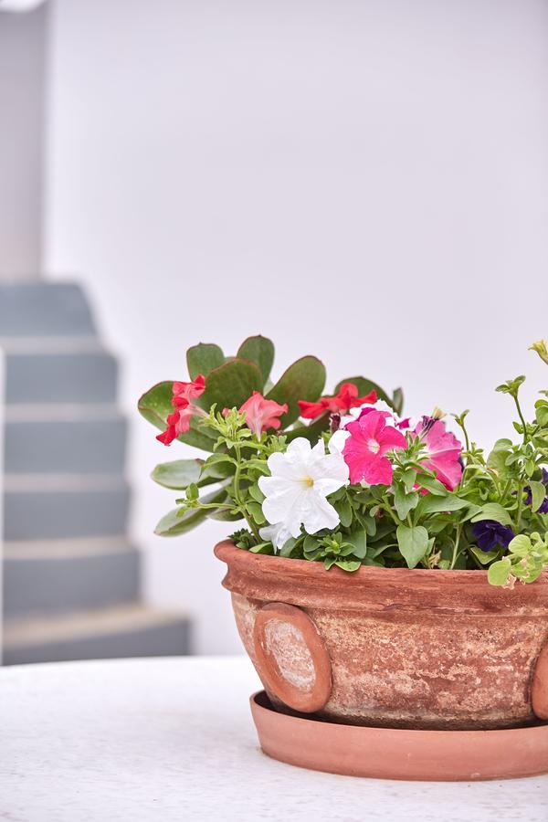 Spetses Retreat Accommodation المظهر الخارجي الصورة